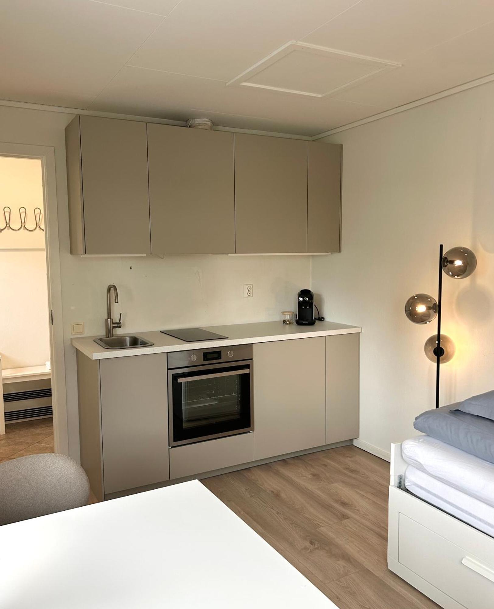 Newly Renovated Studio Apartment - Free Parking And Ev Docking Trondheim Buitenkant foto